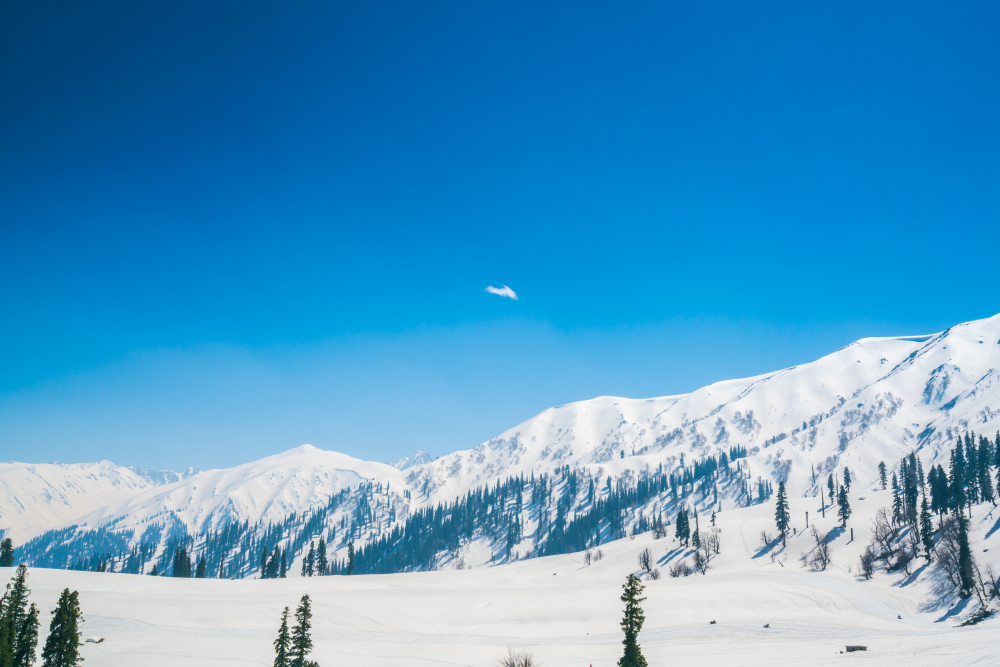 Gulmarg