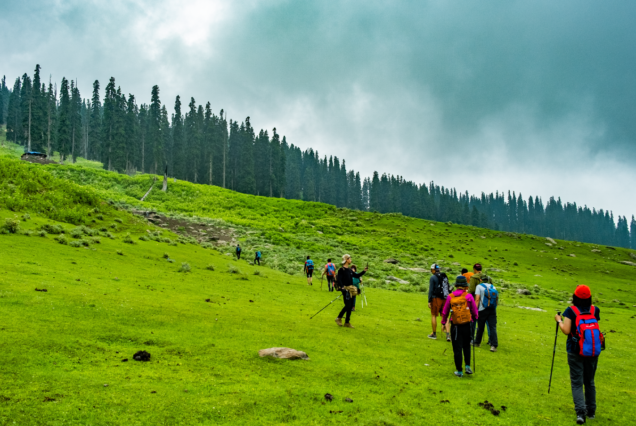 Tosamaidan Trek A Majestic Himalayan Adventure in Kashmir